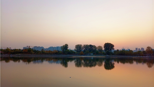 蘆花白，秋水寒