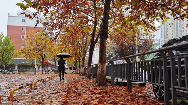 雨中周口，別有一番韻味